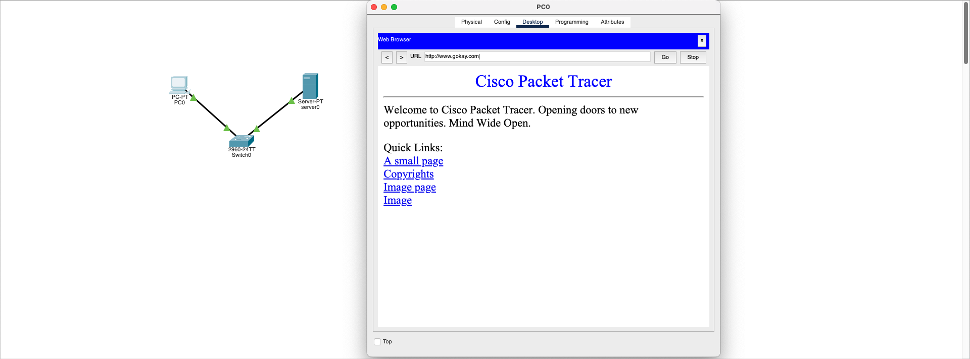 DNS Resolution Success