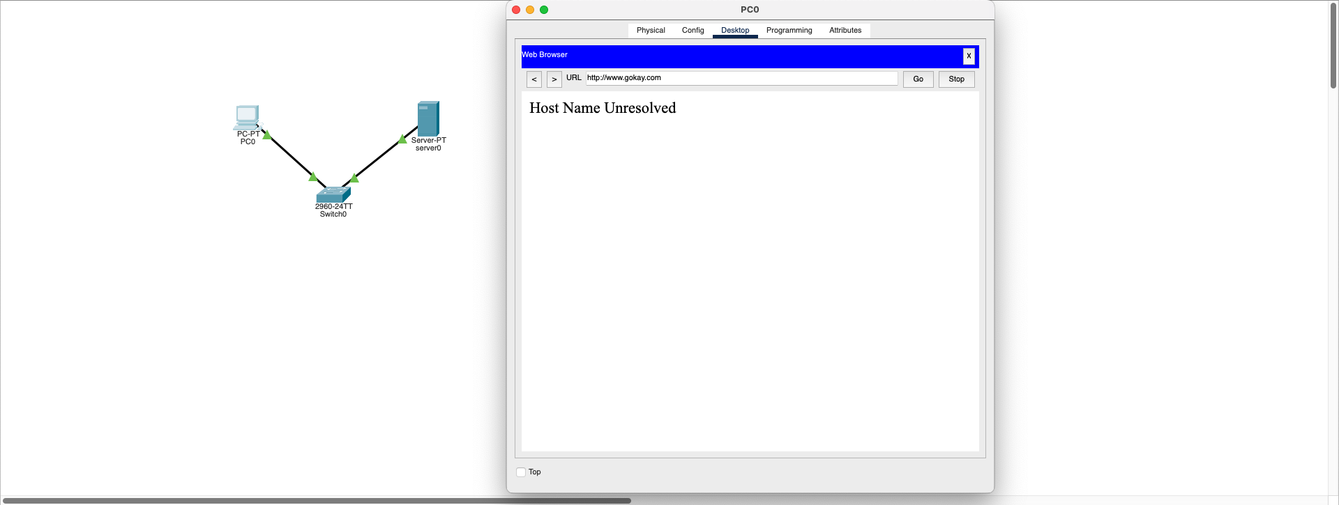 DNS Resolution Failed